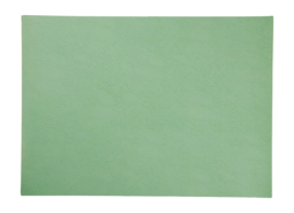 Placemat ASA Selection Vegan Leather Basil Green