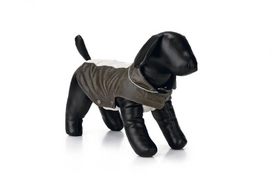 Honden Regenjas Beeztees Protective Groen