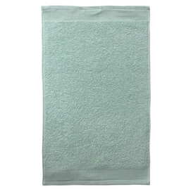 Serviette de toilettes Essenza Pure Menthe Douce Micro Coton
