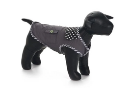 Honden Regenjas Beeztees Trends Grijs / Groen