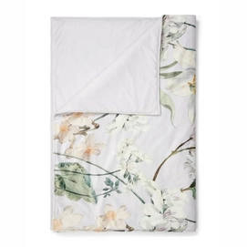 Plaid Essenza Rosalee Gris