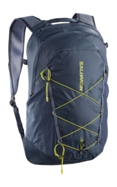 Rugzak Salomon Unisex XT 25 Spellbound / Grisaille / Bright Chartreuse