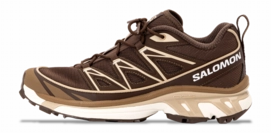 Salomon Unisex XT-6 Expanse Earth Brown/White Pepper