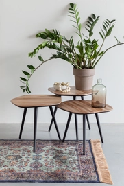 7---Cuties coffee table 2300374_21