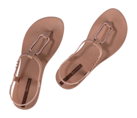 4---IP 83768_BN543_13_2026-_no-bg