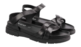 2---1-sunnys_no47_6328-90-_no-bg