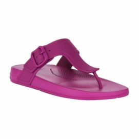 FitFlop Women iQushion Adjustable Buckle Miami Violet