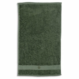 Serviette Invité Kayori Sento Vert (30 x 50 cm)