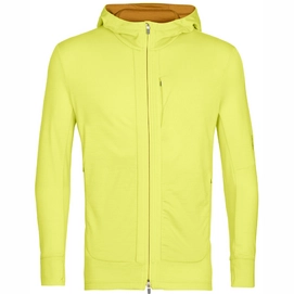 Fleecejacke Icebreaker Quantum III LS Zip Hoodie Herren Shine Clove