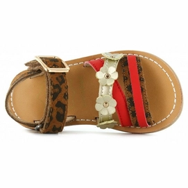 shoesme-luipaardprint-sandaal-met-bloemetjes-7_60_3