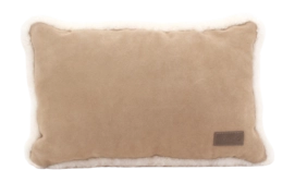3---CHN607252_AA-_no-bg