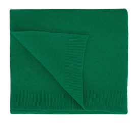 Scarf Colorful Standard Unisex Merino Wool Scarf Kelly Green