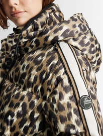5---I1029-1064-0007