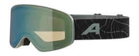 Skibril Alpina Kids Fernie Q-Lite Willow/Green Matt
