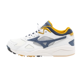 Vintage mizuno shoes online