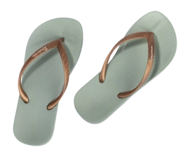 3---IP 83078_BP961_12_2026-_no-bg