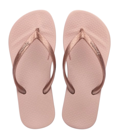 2---IP 83078_BP960_00_2026-_no-bg