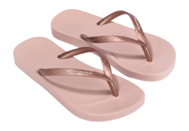 3---IP 83078_BP960_10_2026-_no-bg