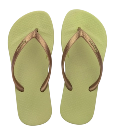 2---IP 83078_BP963_00_2026-_no-bg