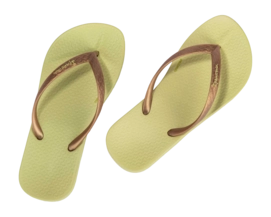 3---IP 83078_BP963_12_2026-_no-bg