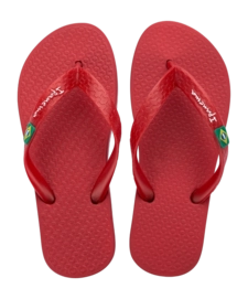 2---IP 80416_BO498_00_2026-_no-bg