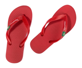 3---IP 80416_BO498_11_2026-_no-bg