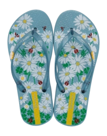 2---IP 27273_BQ748_01_2026-_no-bg