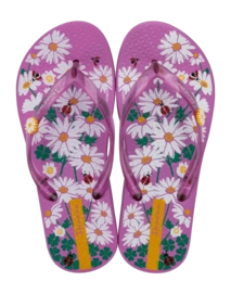 2---IP 27273_BQ756_01_2026-_no-bg