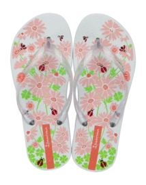 2---IP 27273_BQ759_01_2026-_no-bg