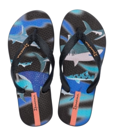 2---IP 83755_BL966_00_2026-_no-bg