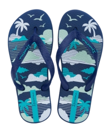 2---IP 83755_BL970_00_2026-_no-bg