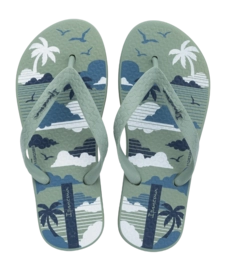 2---IP 83755_BL971_00_2026-_no-bg