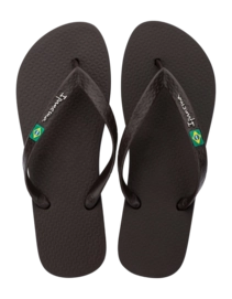 2---IP 80415_BO497_00_2026-_no-bg