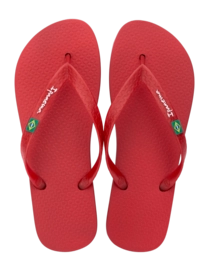 2---IP 80415_BO498_00_2026-_no-bg