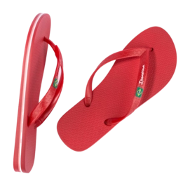 3---IP 80415_BO498_12_2026-_no-bg