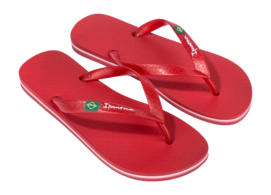 5---IP 80415_BO498_10_2026-_no-bg