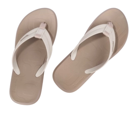 3---IP 83629_BO988_12_2026-_no-bg