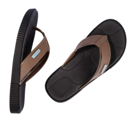 4---IP 83542_BO557_13_2026-_no-bg