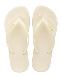 2---IP 82591_BO331_00_2026-_no-bg