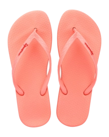 2---IP 82591_BO322_00_2026-_no-bg