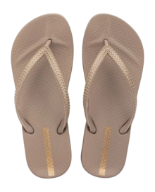 2---IP 83749_BP362_00_2026-_no-bg