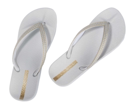 3---IP 83749_BP364_12_2026-_no-bg