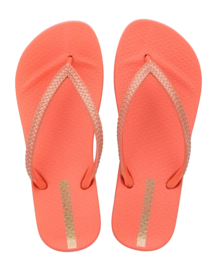 2---IP 83749_BP360_00_2026-_no-bg