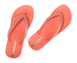 3---IP 83749_BP360_12_2026-_no-bg