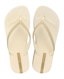 2---IP 83750_BP368_01_2026-_no-bg