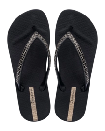 2---IP 83750_BP367_01_2026-_no-bg