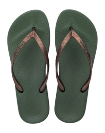 2---IP 81030_BO356_00_2026-_no-bg