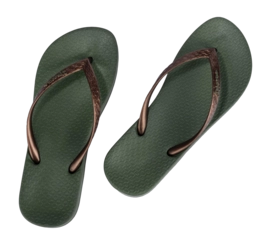 3---IP 81030_BO356_12_2026-_no-bg