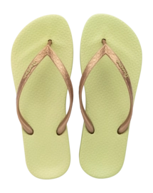 2---IP 81030_BO361_00_2026-_no-bg