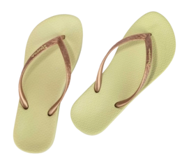 3---IP 81030_BO361_12_2026-_no-bg